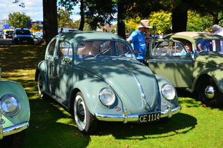 Beetle up to 1957